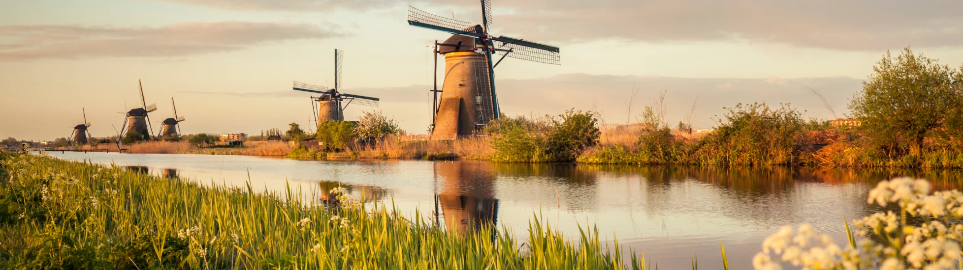 PPB Netherlands 2026
